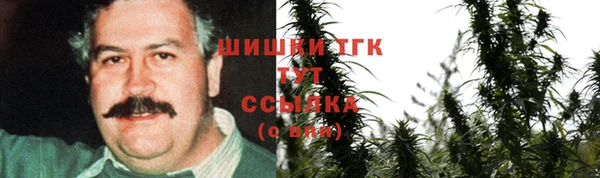гидра Михайловск