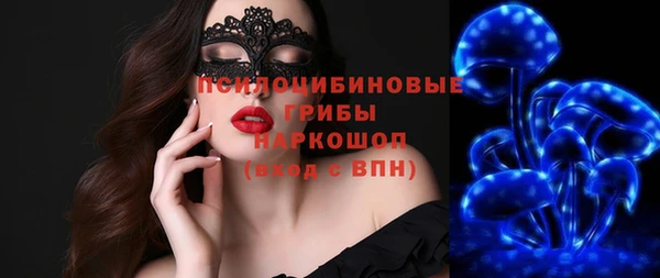 молекула духа Алзамай