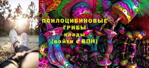 эйфоретик Абинск