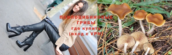 гидра Михайловск